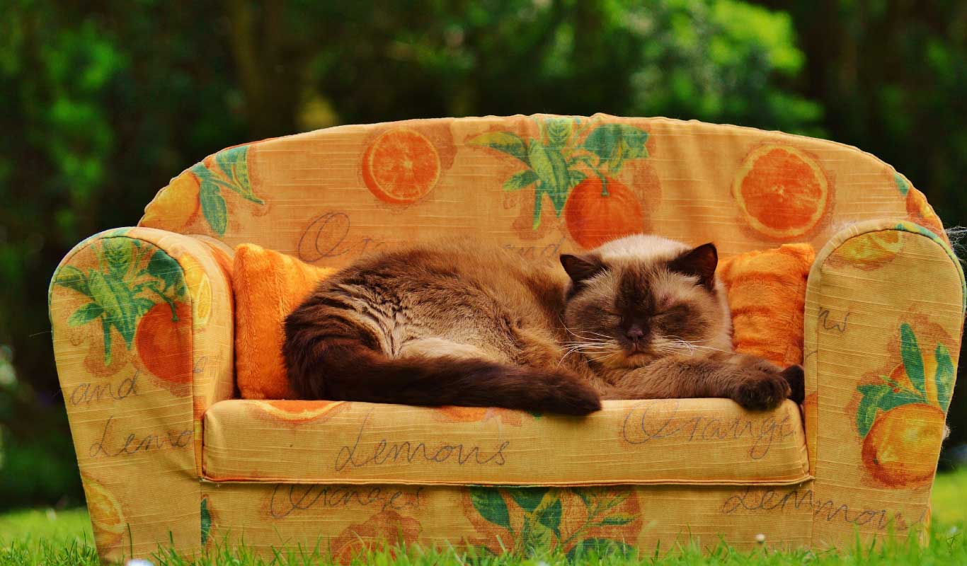 The sit-down guide to buying your sofa online
