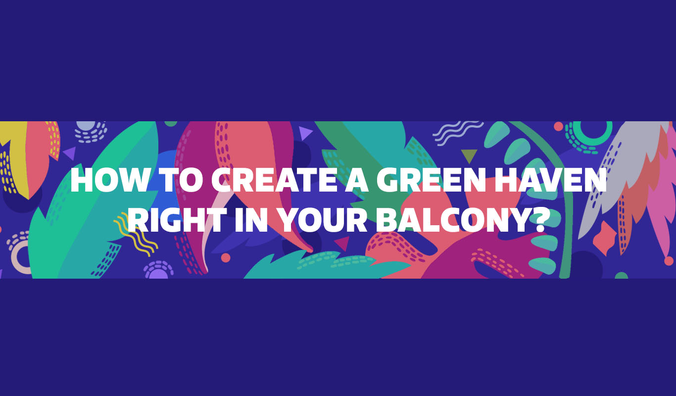 Infographic: How to plant an awesome balcony garden