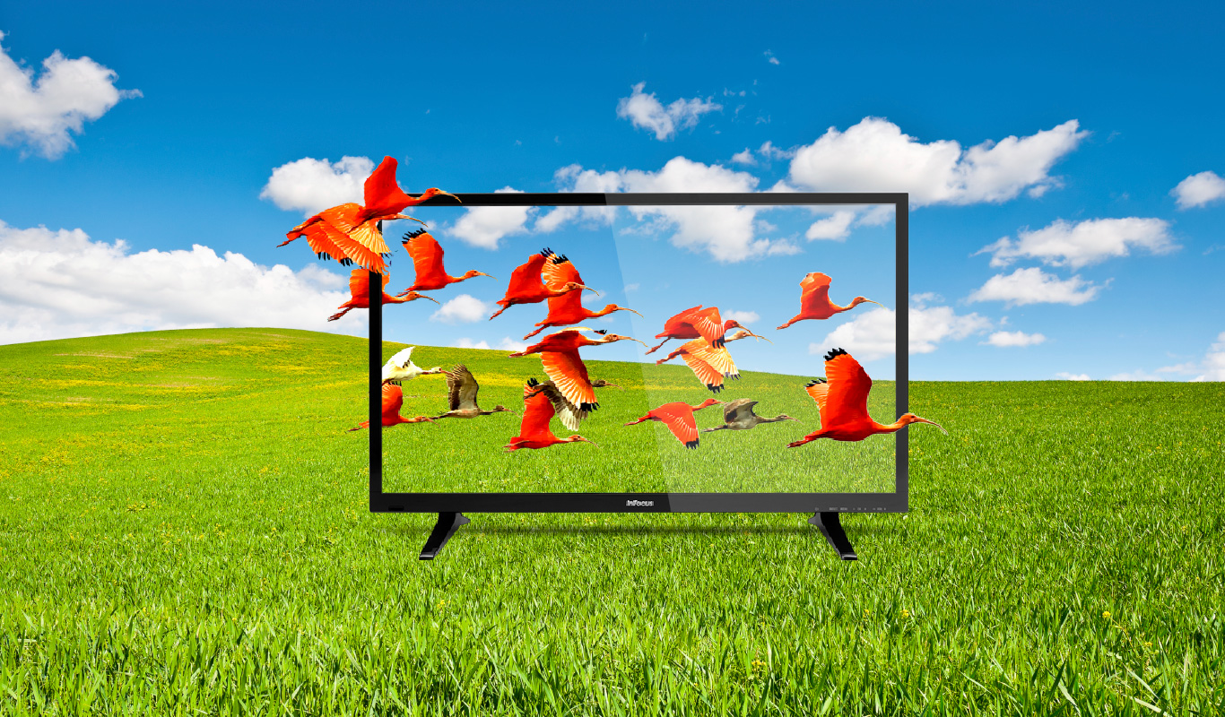InFocus LED TVs now also in 40″ – #FlipkartUnique