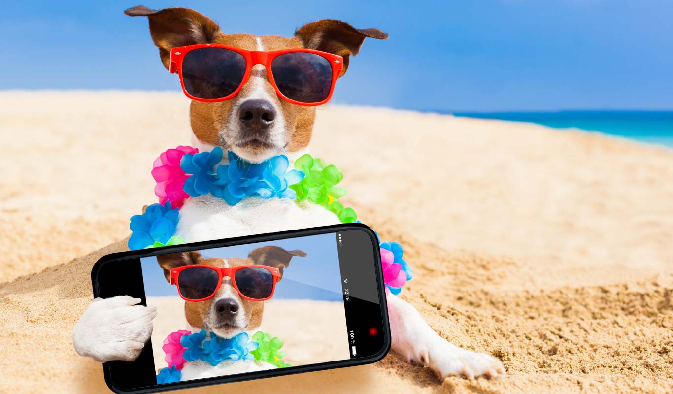 10 selfie smartphones to check out in 2016